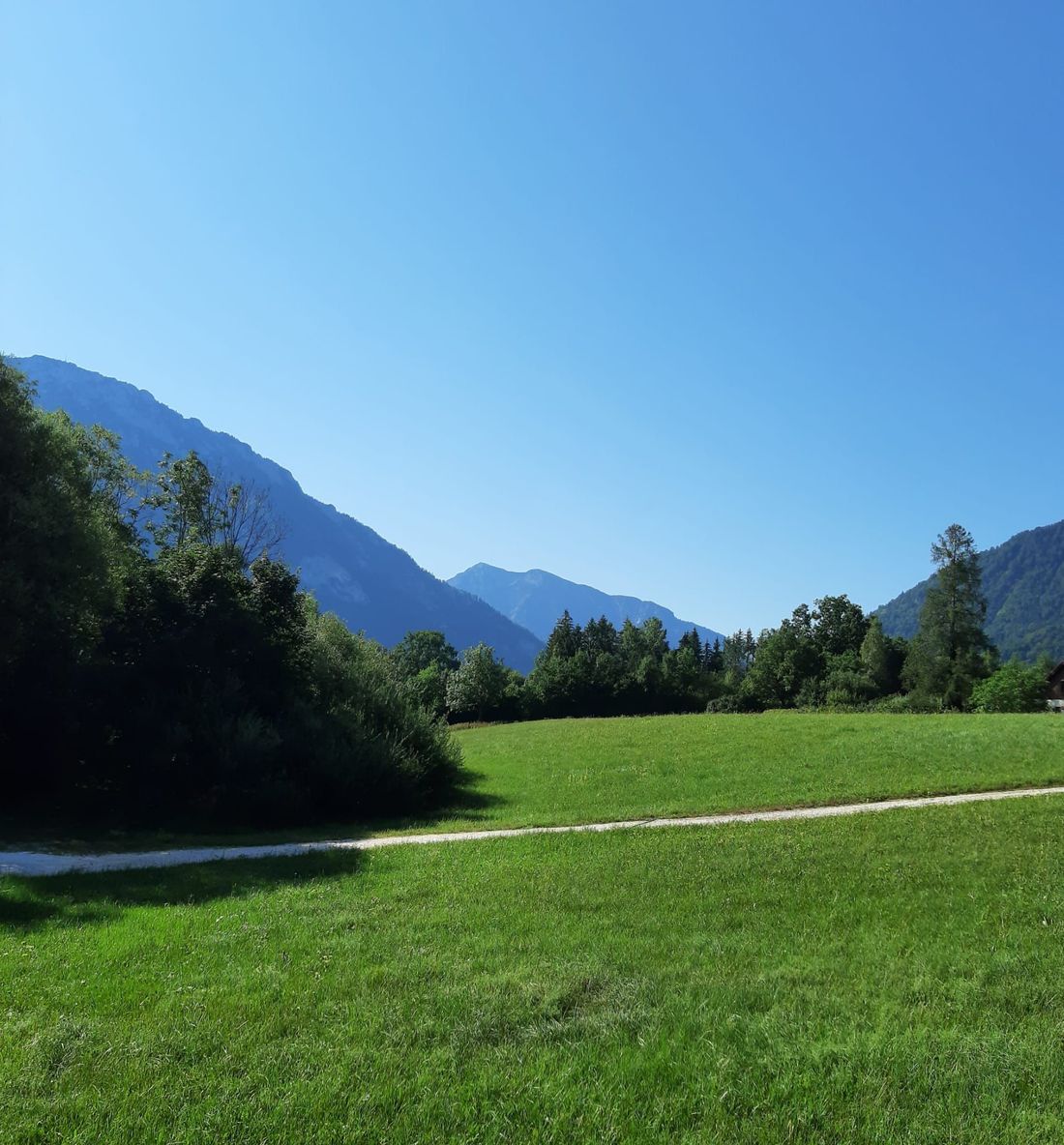 Blick von Balkon Hallweger