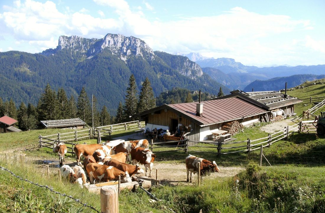 Unsere Haaralm