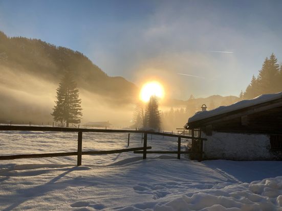 Winter am Förchensee