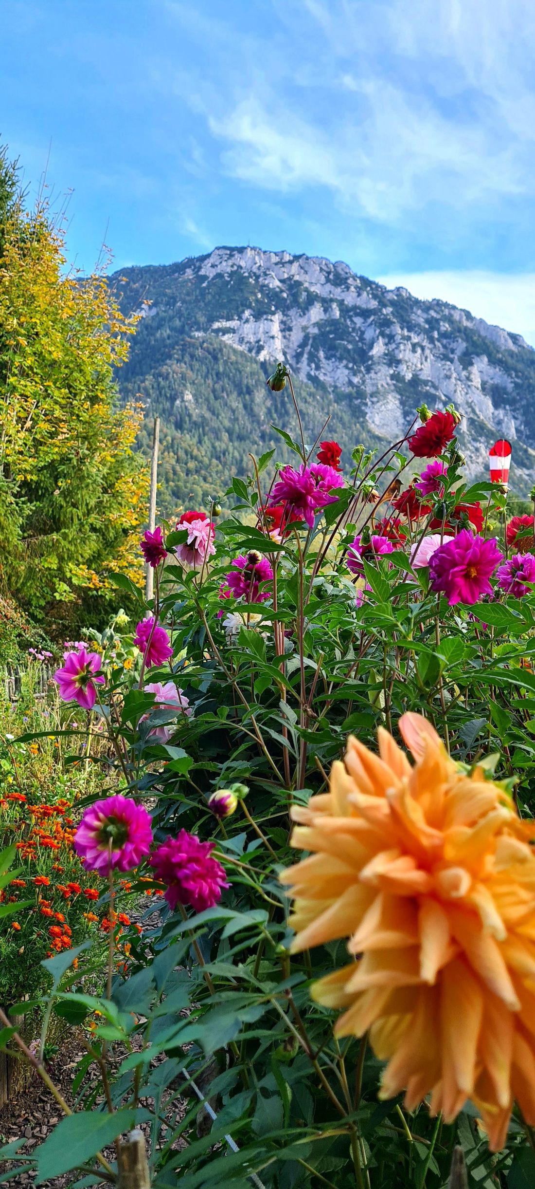 Blick auf Rauschberg von Terrasse