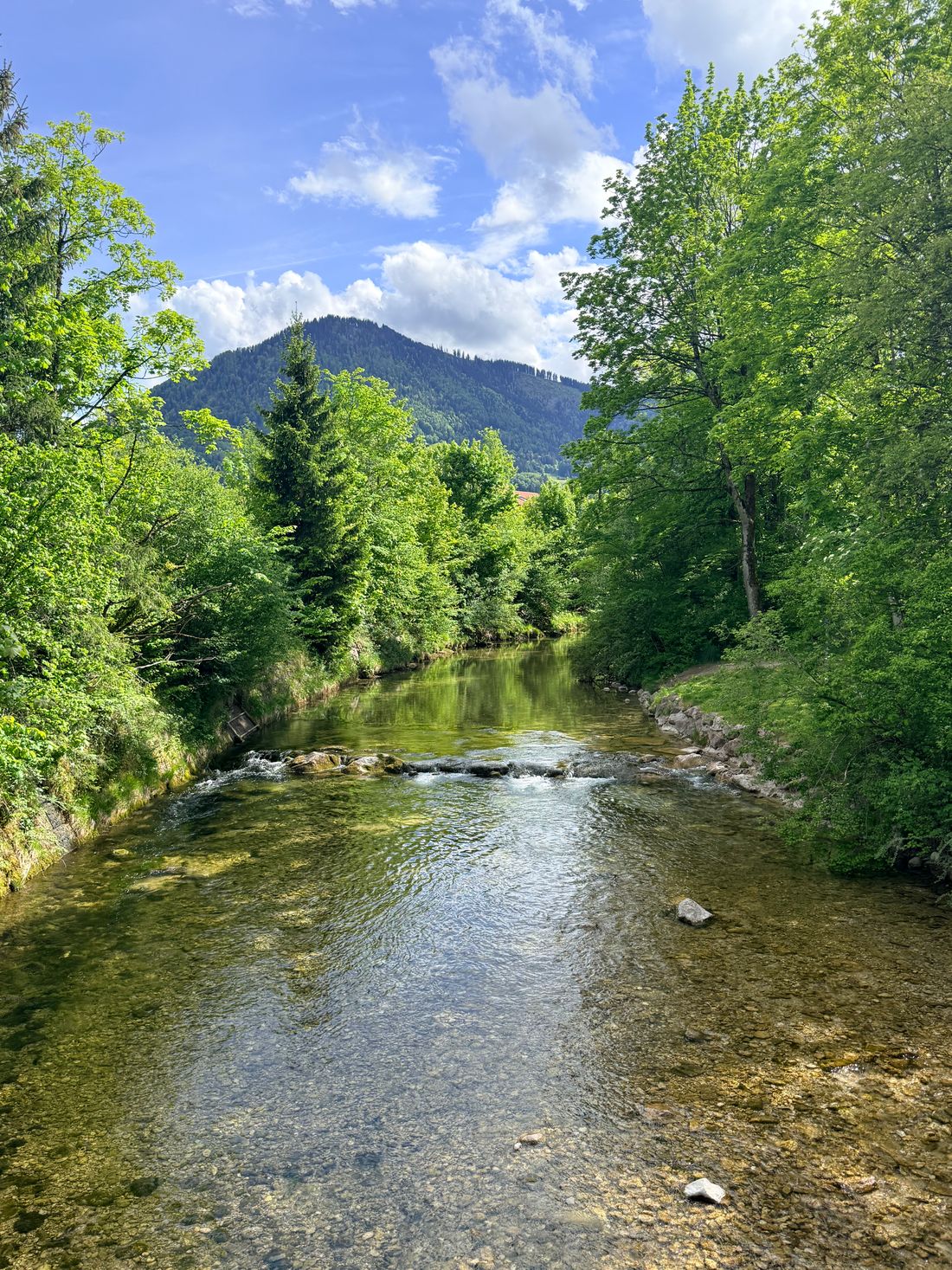 image00019