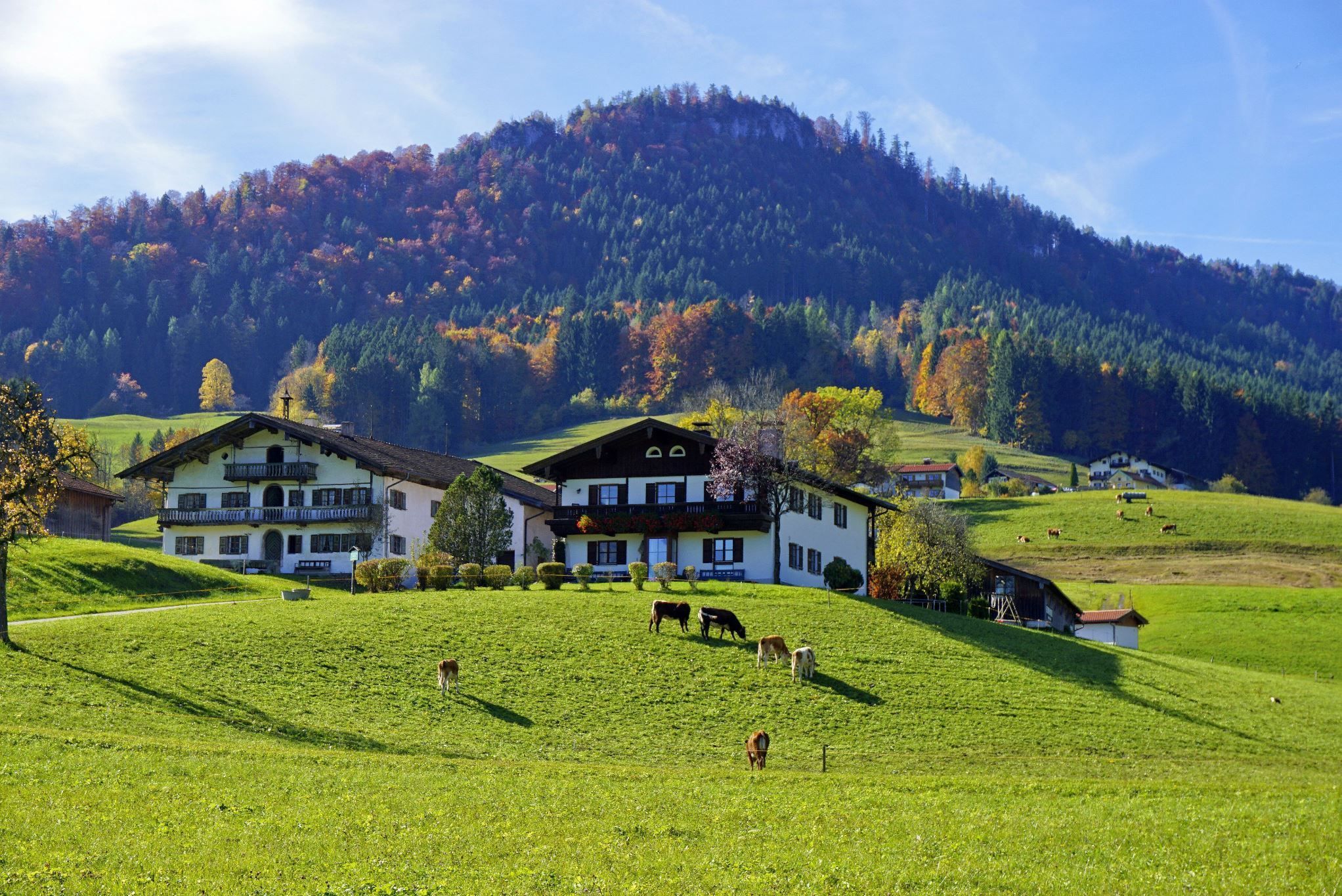 Willkommen am Ferienhof Kecht