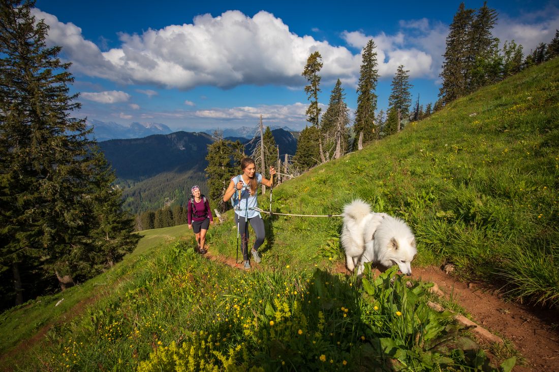 Tamara Schweidler die Gipfelbuchgestalterin