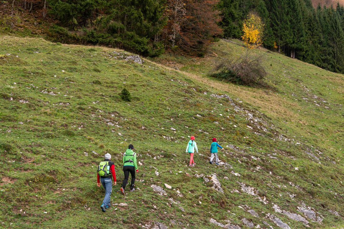 Auf den Wiesen unterwegs