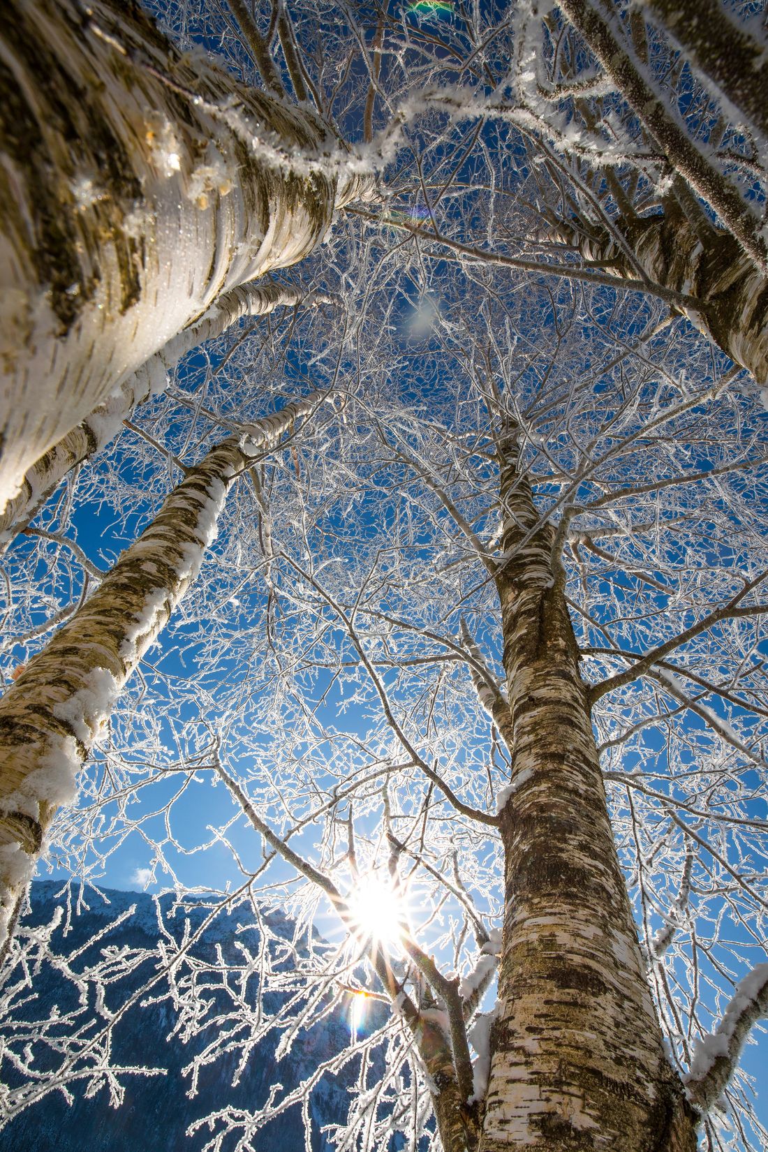 Winterimpressionen