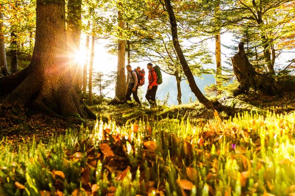 3-wandern-familie_16