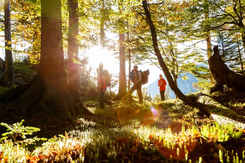 Familie wandert in den Ruhpoldinger Alpen