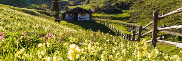 Frühling auf der Thoraualm