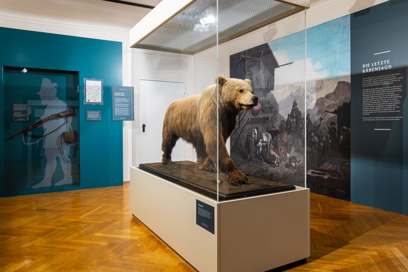 Heimatmuseum Ruhpoldinger Bär