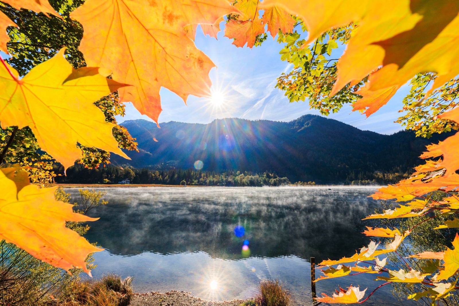 Herbstlandschaft