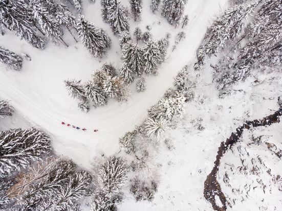 Winterwald