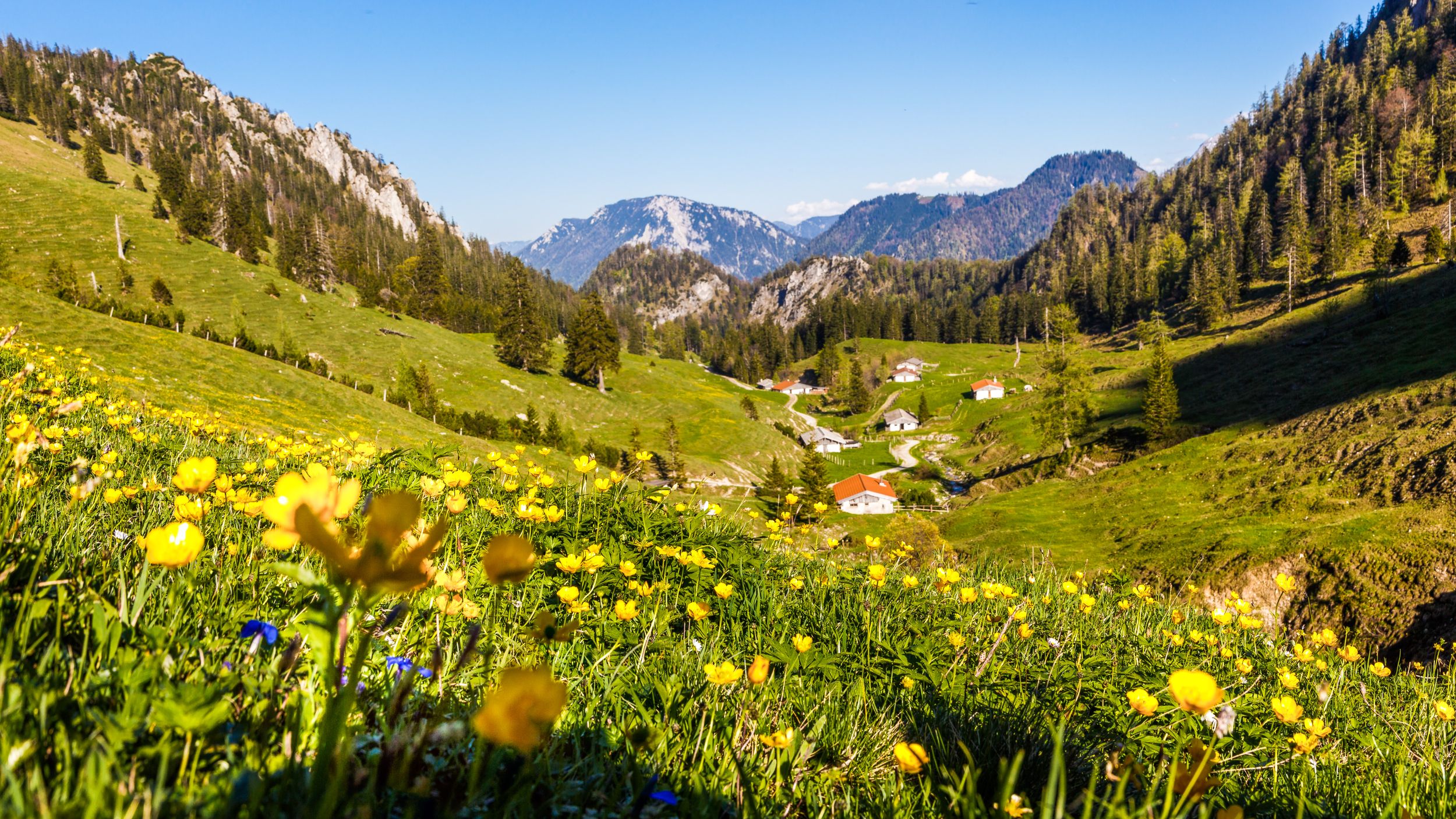 Thoraualm bei Ruhpolding