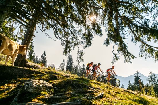 mtb4_2_1_2_1