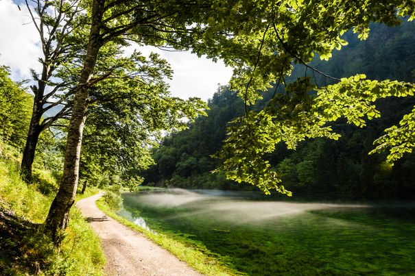 Förchensee im Nebel