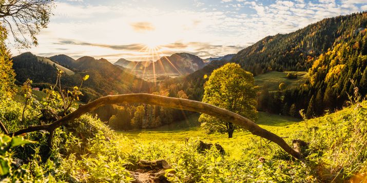 Rauschbergblick von der Steinbergalm