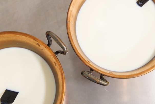 Erwärmte Milch für die Käseherstellung