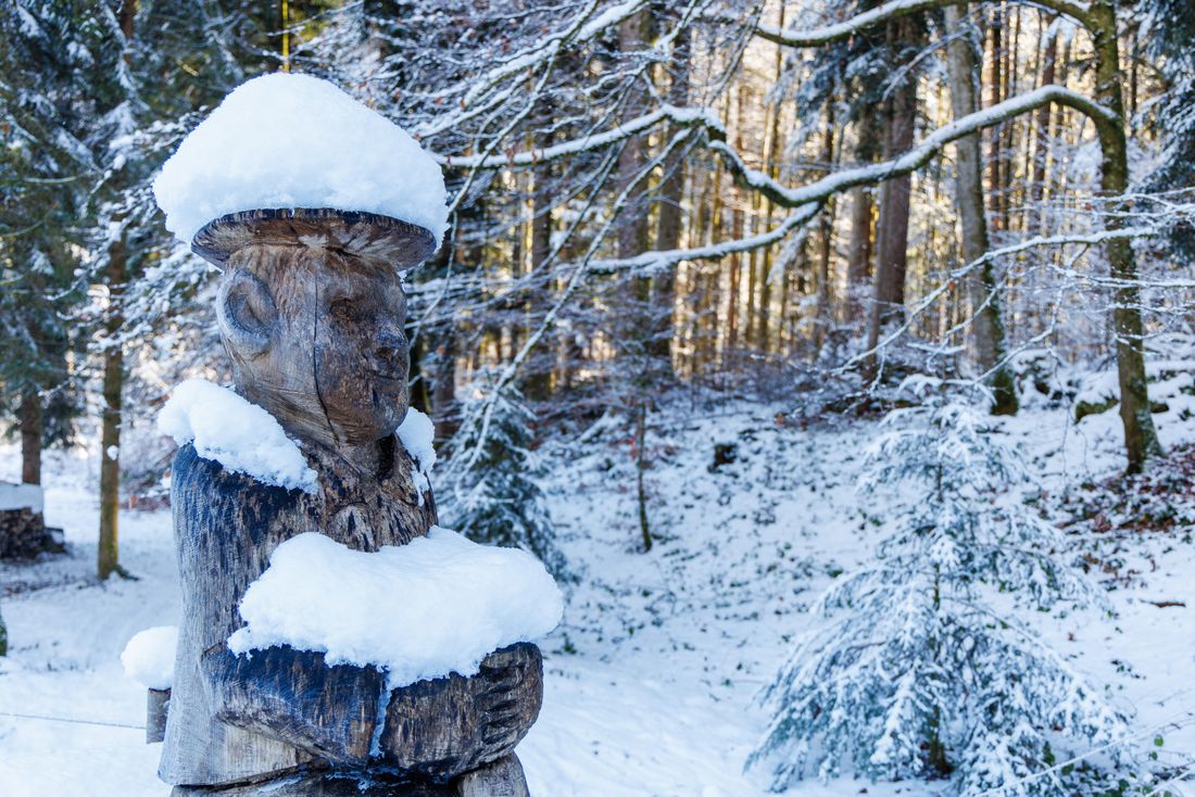 Stiller Wächter im Märchenwald