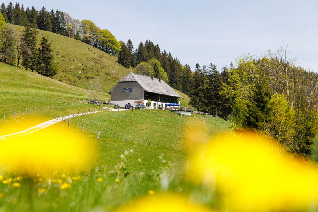 Blick auf die Hocherbalm