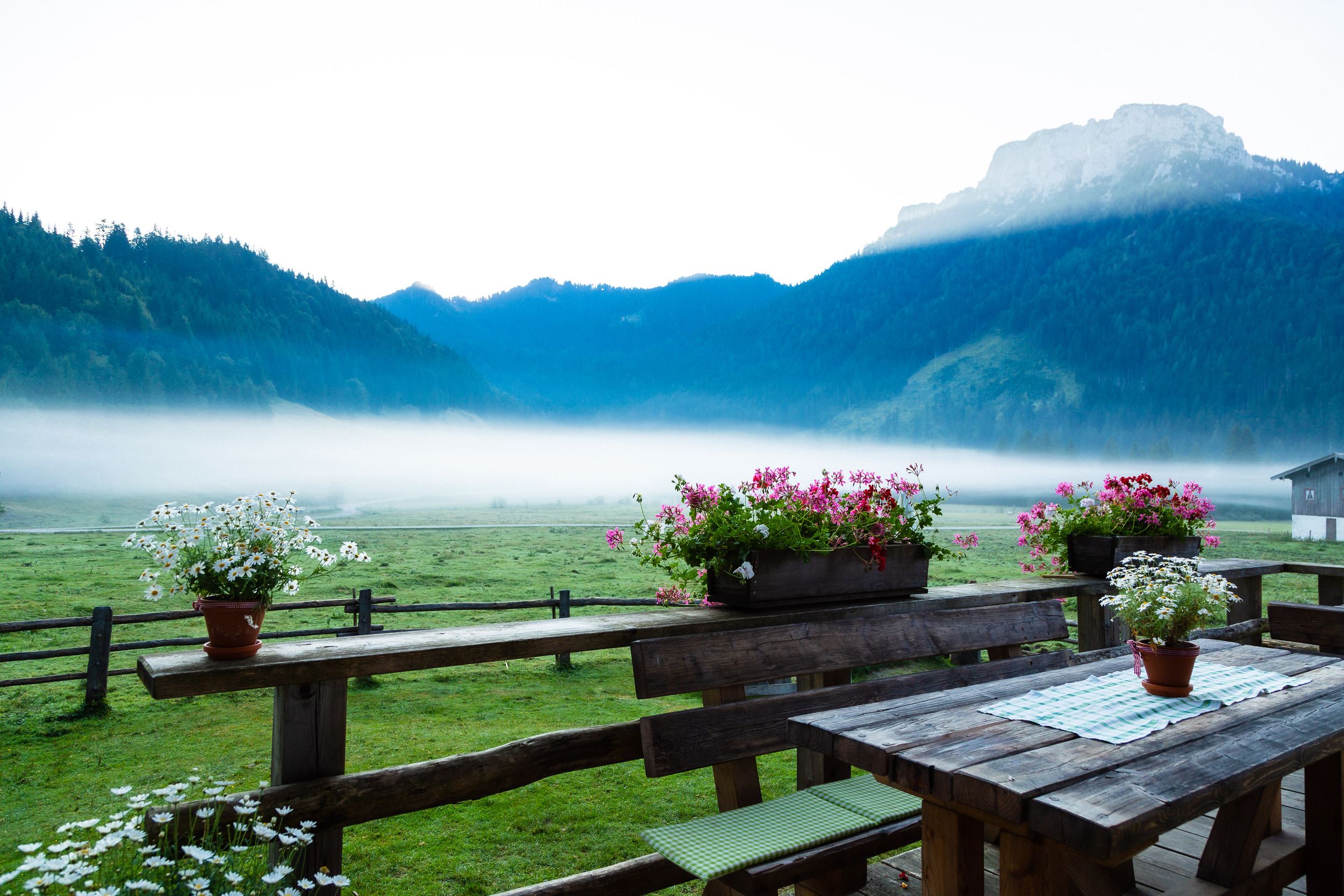 Langerbauer Alm