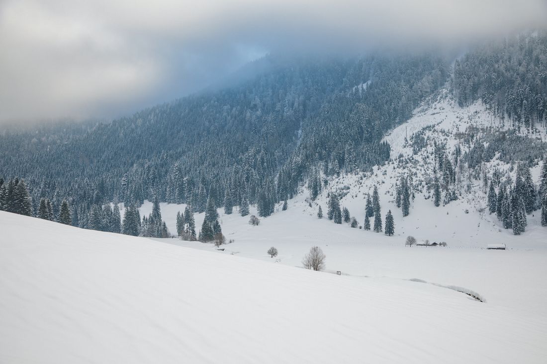 Naturschutzgebiet Hochmoor