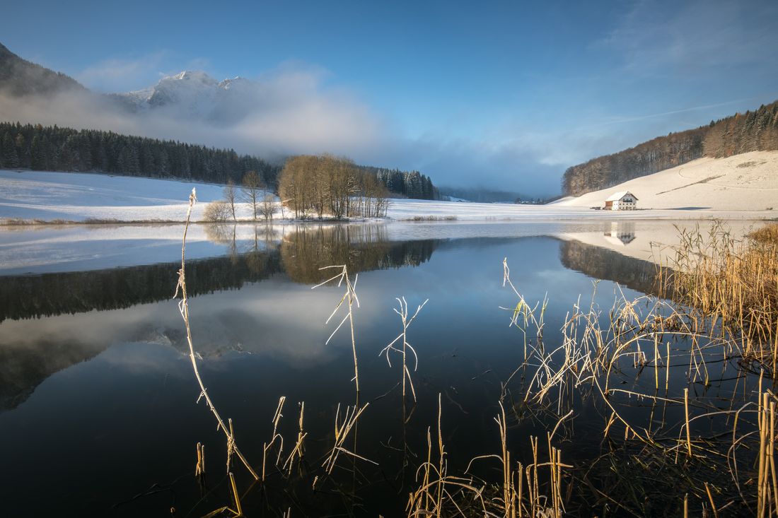 Blick auf den Froschsee
