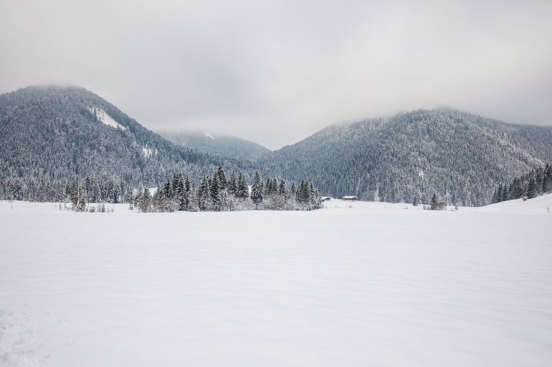 Weite und Stille im Hochmoor