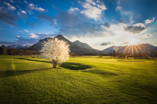 Blick auf den Ruhpoldinger Golfplatz