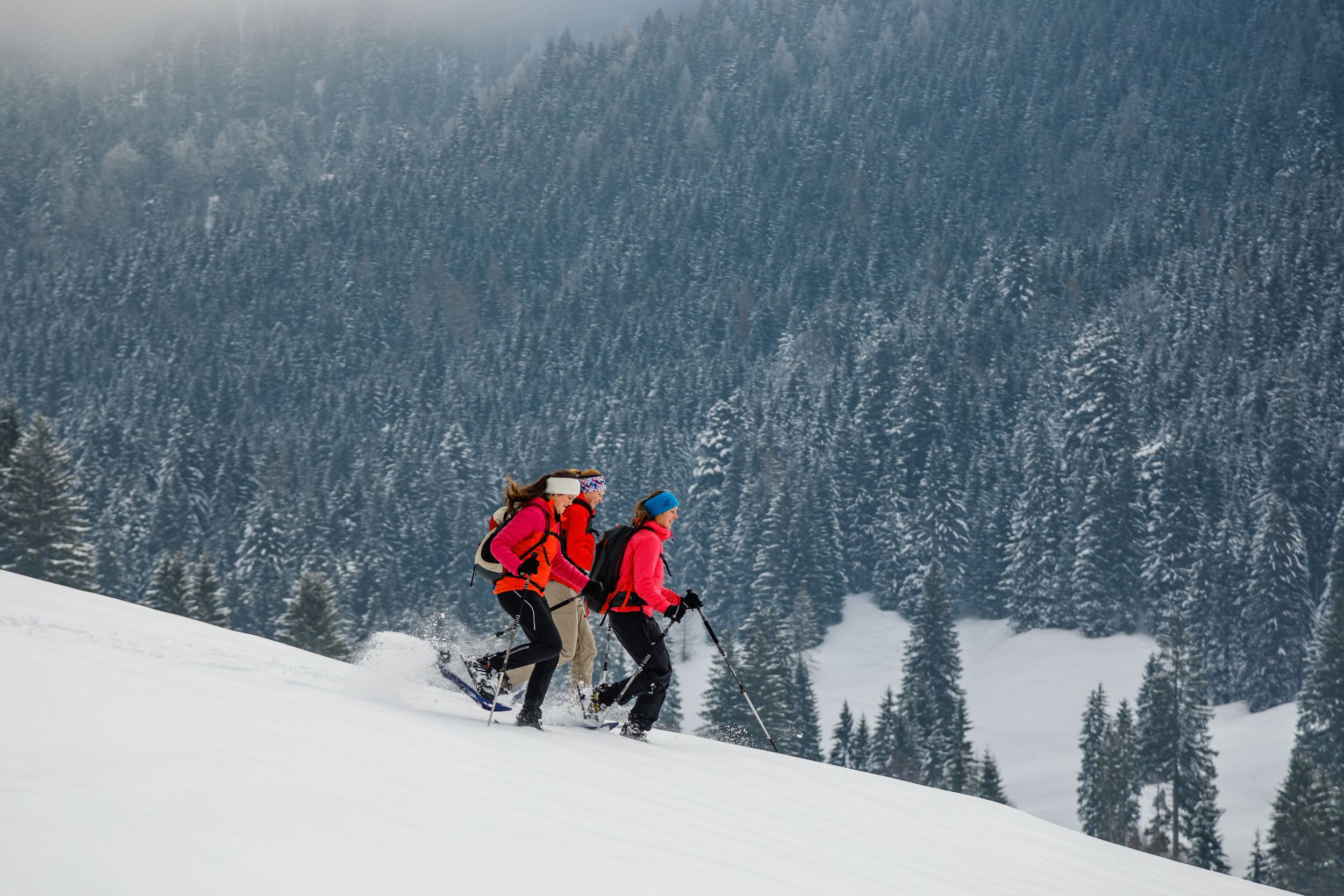 Spaß mit Schneeschuhen