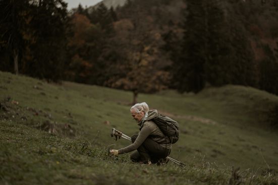 Kräuterwanderung