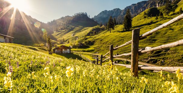 Thorau Almen in Ruhpolding