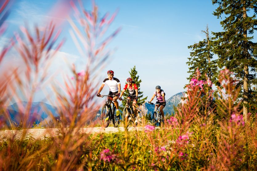 Mountainbiken in Ruhpolding