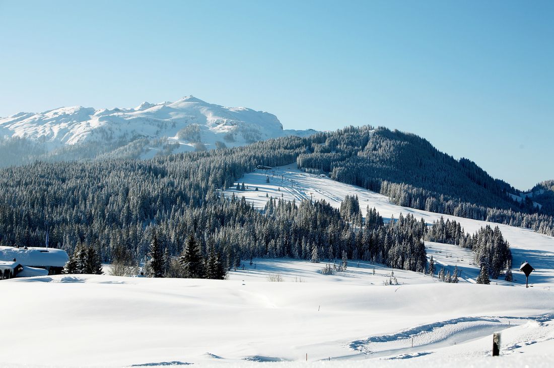 Roßalm und Scheibelberg
