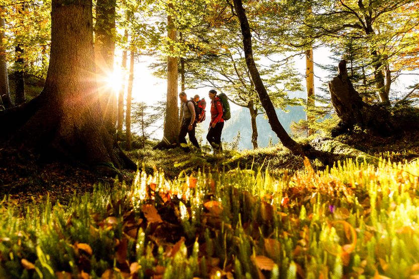 Wandern in Ruhpolding