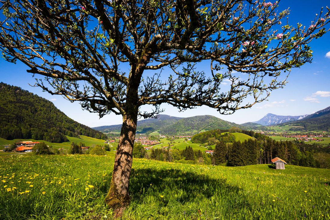 Blick nach Ruhpolding