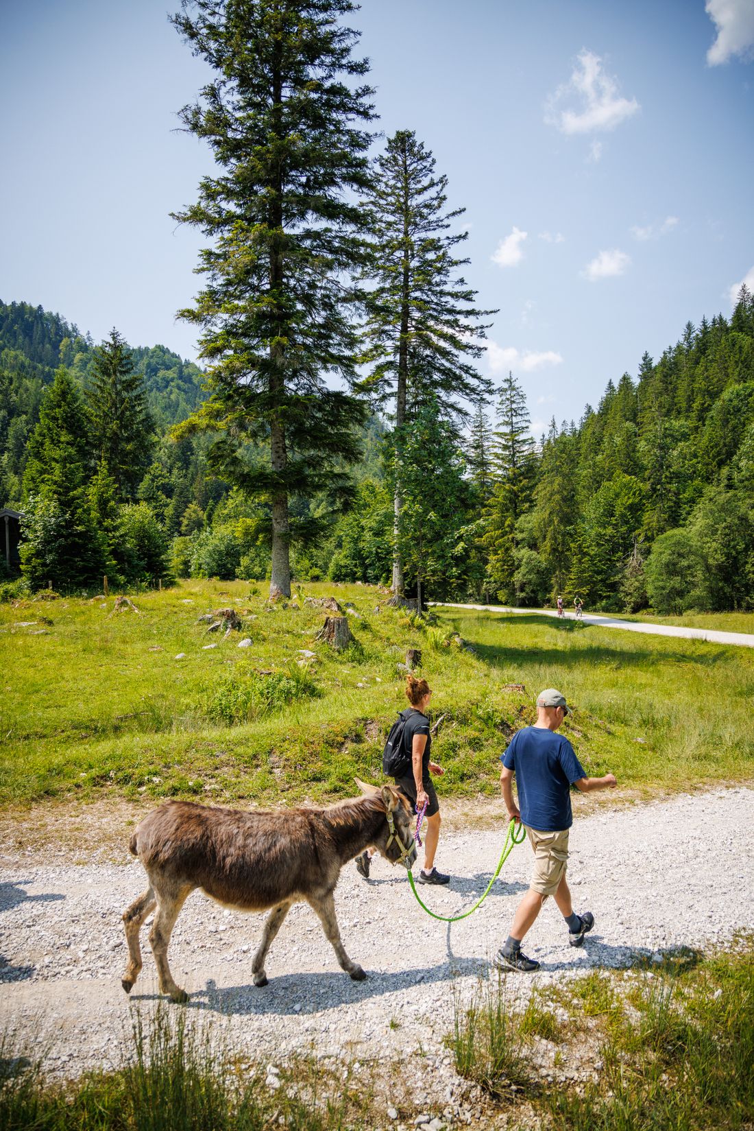 Wanderwelten Chiemgau, Eselwanderung