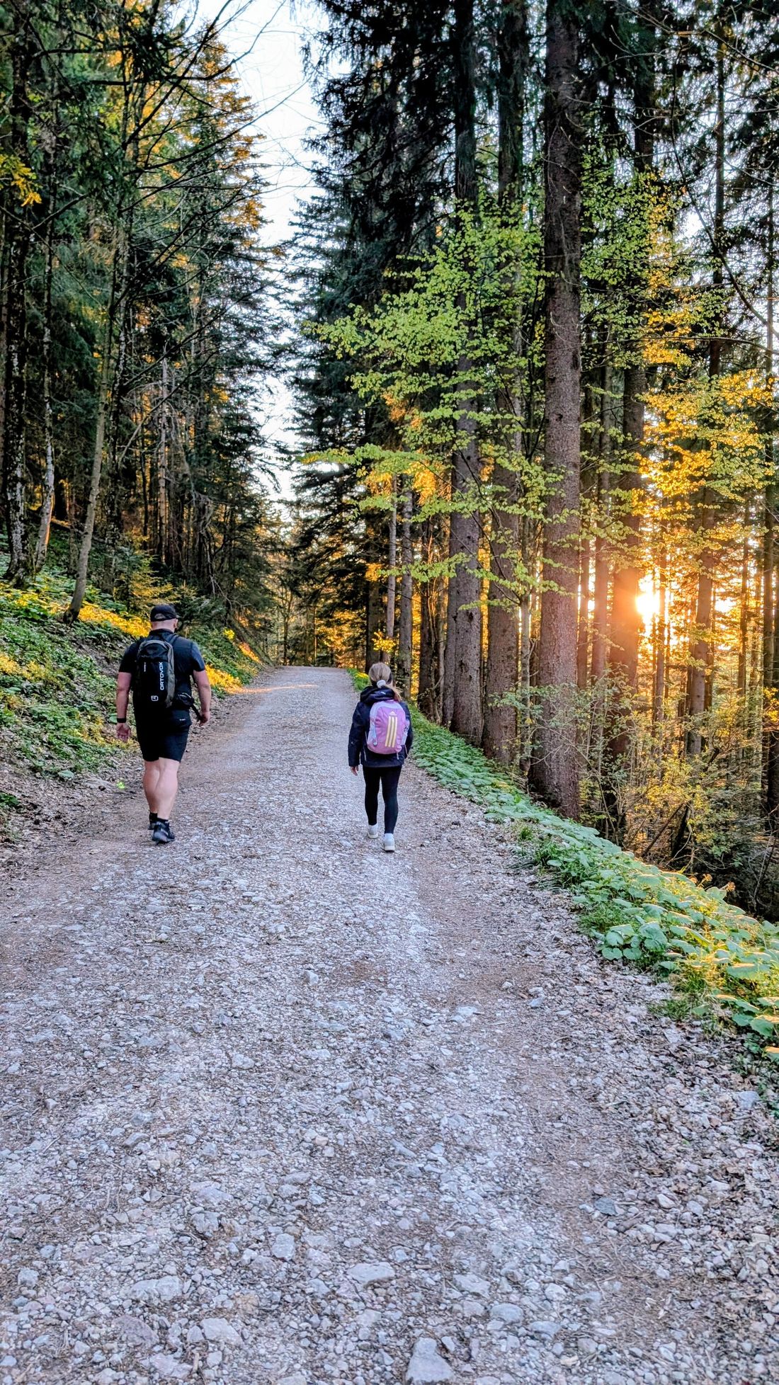 Zwischen Steinbergalm und Bründlingalm