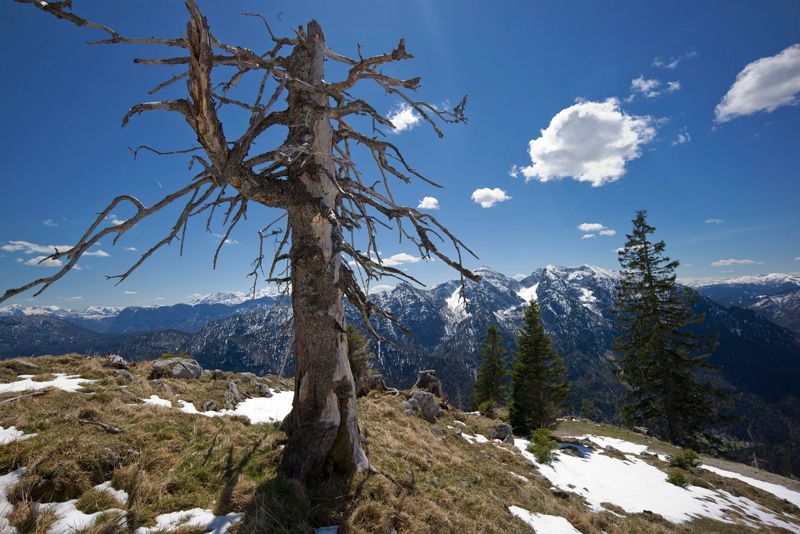 Wanderung auf die Hausberge