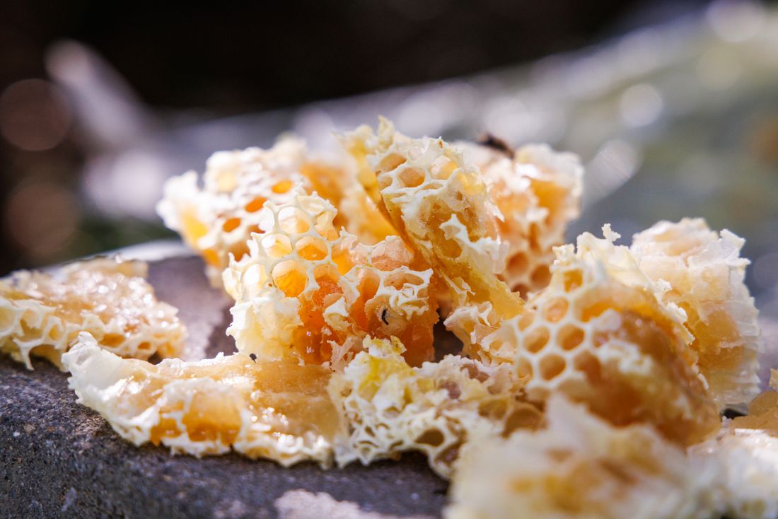 Honigwabe