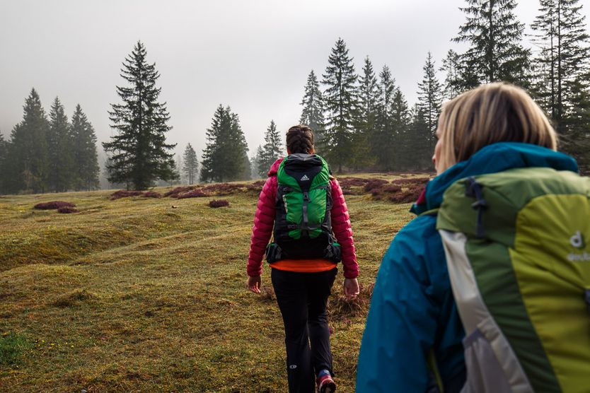 Wanderm Dreiseengebiet