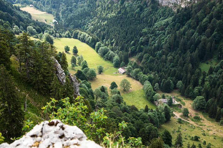 Blick in ein Tal der Chiemgauer Alpen zu einer Almhütte.