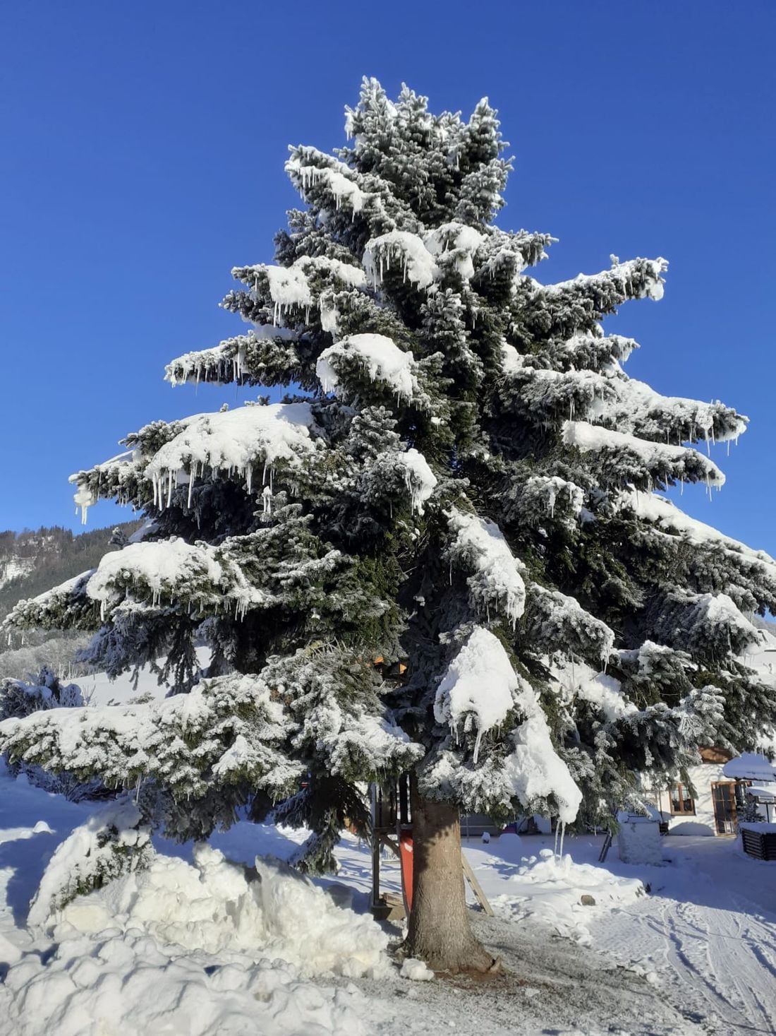 Winterstimmung am Landhaus Hoggen