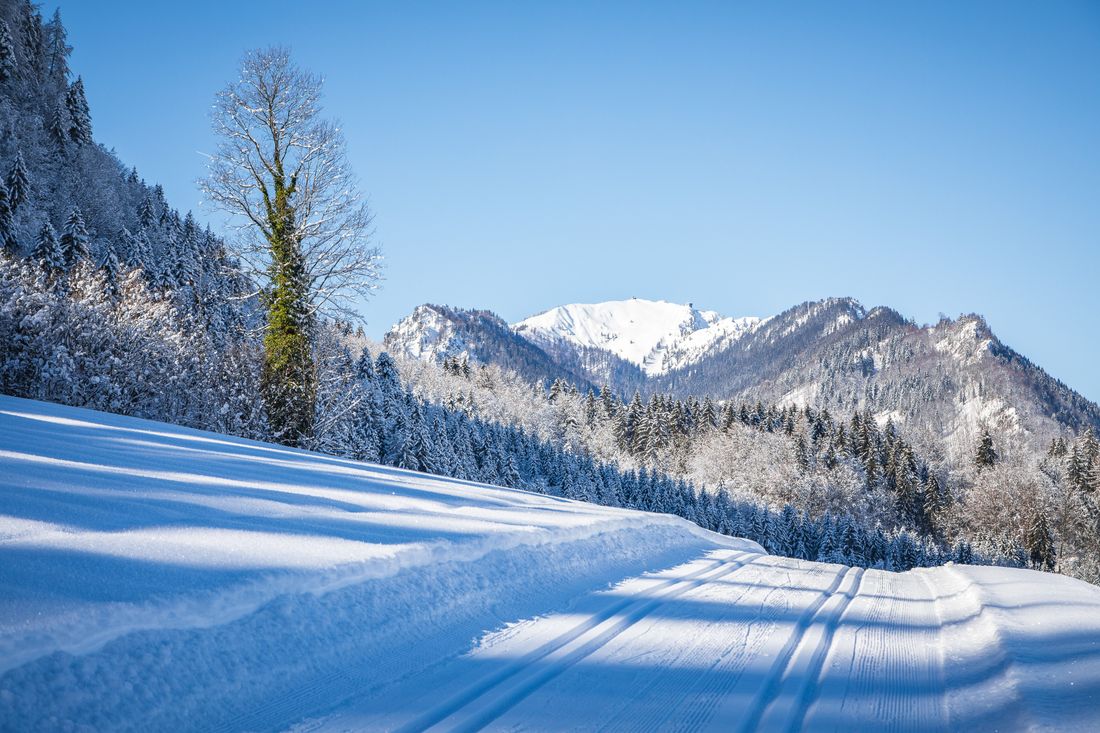 NQ8A8360_Andreas Plenk (2).jpg