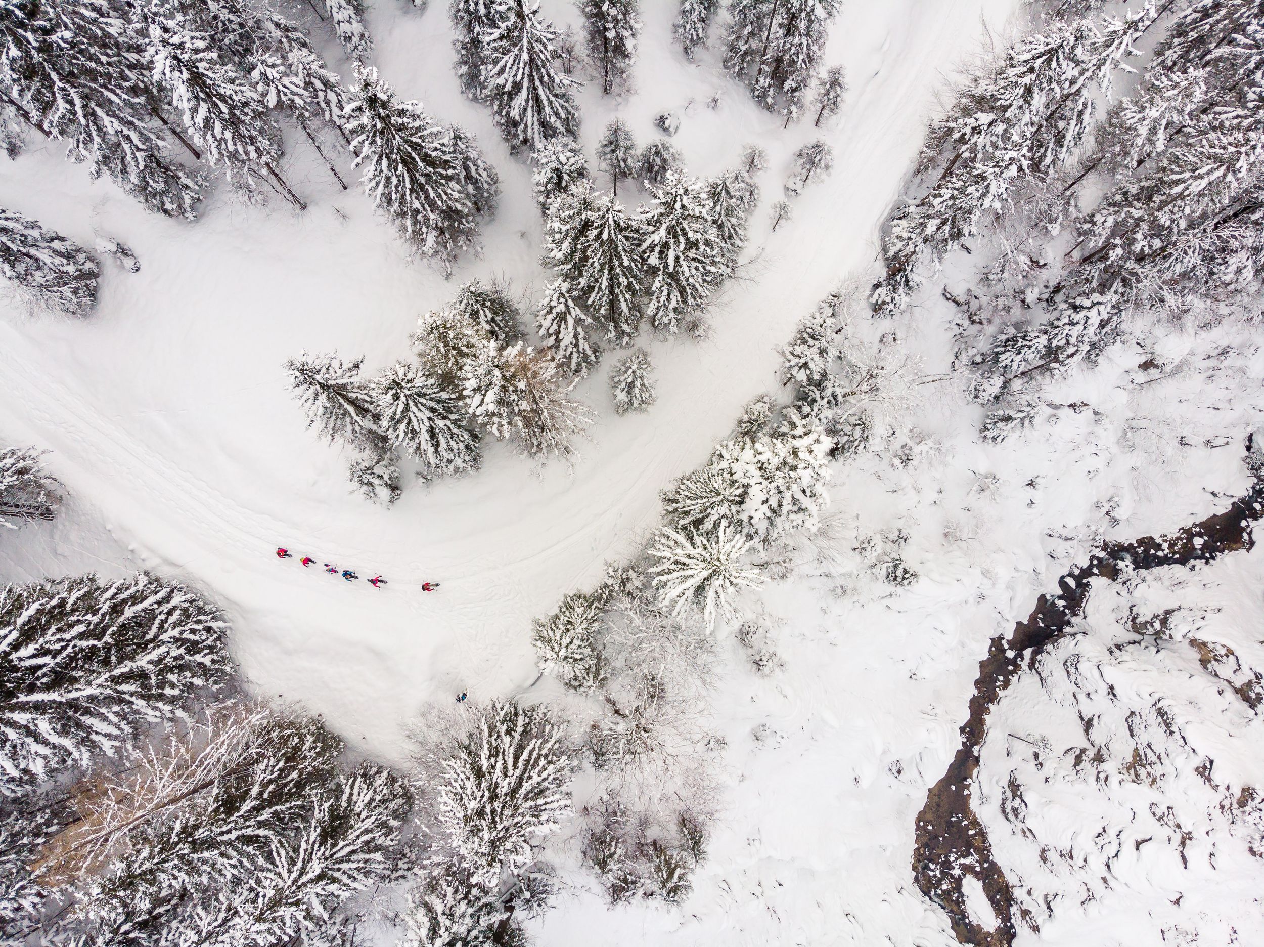 Winterwald