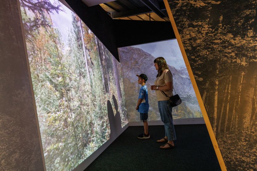 Eine mulitmediale Abenteuerreise 