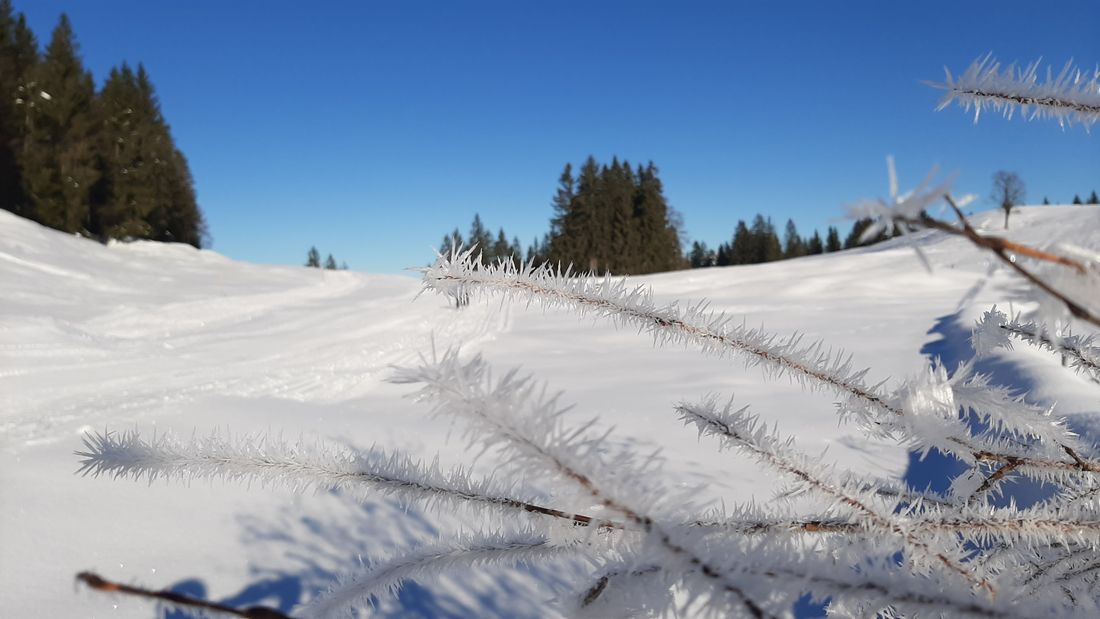 Winterlandschaft Eggenalm