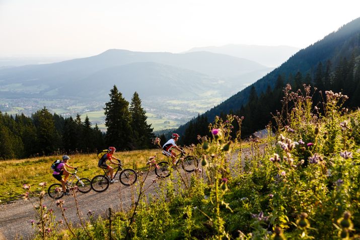 Mountainbiken in Ruhpolding