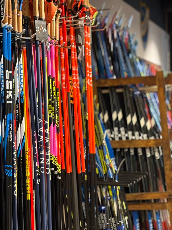 Auswahl an Langlaufskiern