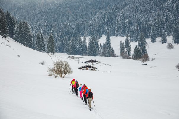Schneeschuhwandern