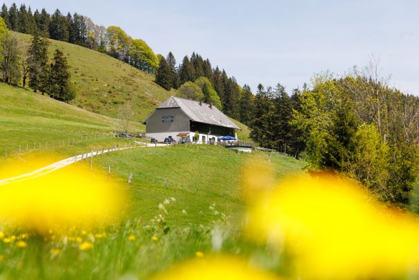Blick auf die Hocherbalm