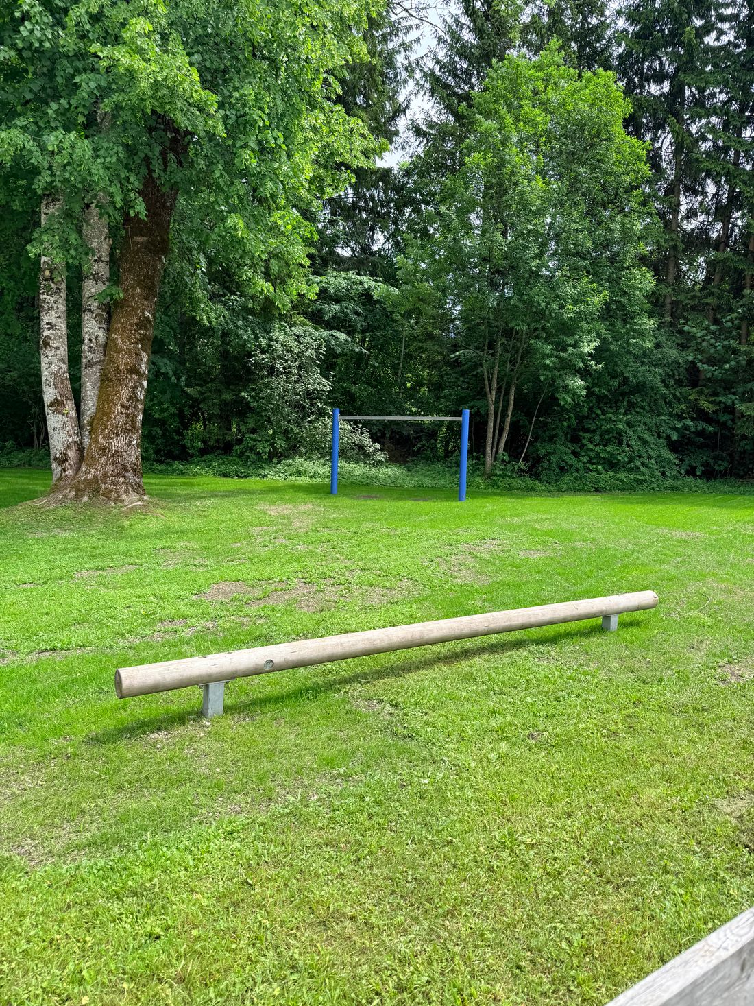 image00008